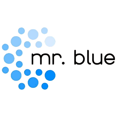 Mr  Blue