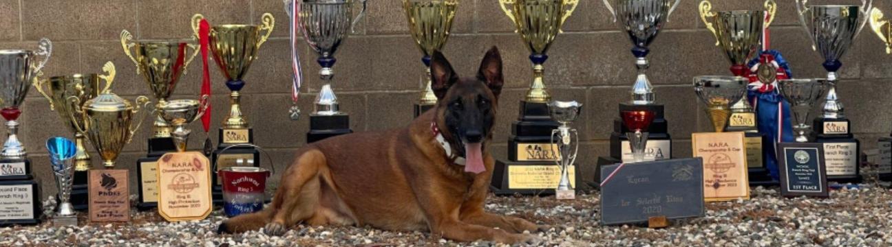 PrestigeDogs Protection