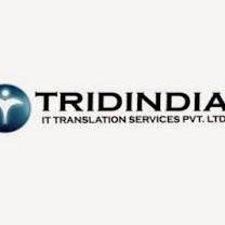 TridIndia  Company