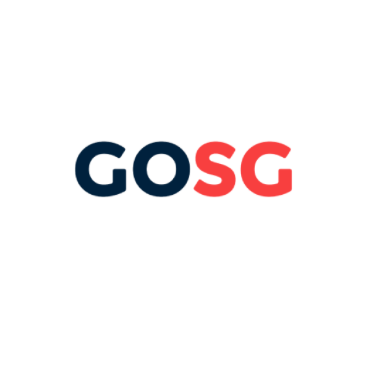 GO SG  CONSULTING