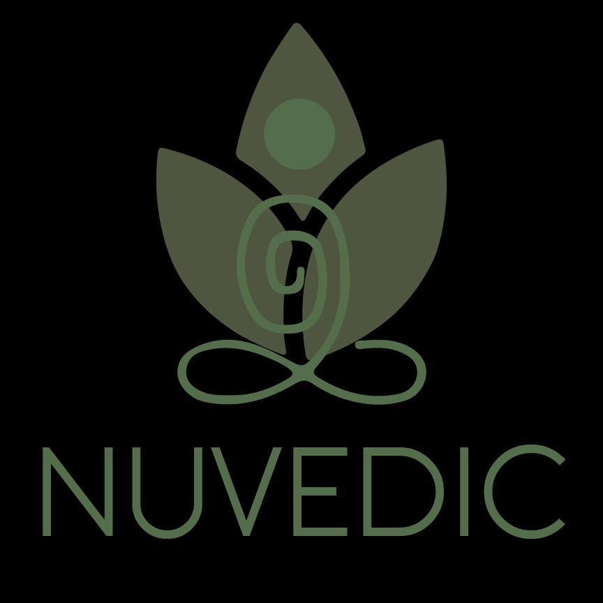 Nuvedic SEO