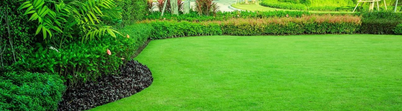 Hills Gardening
