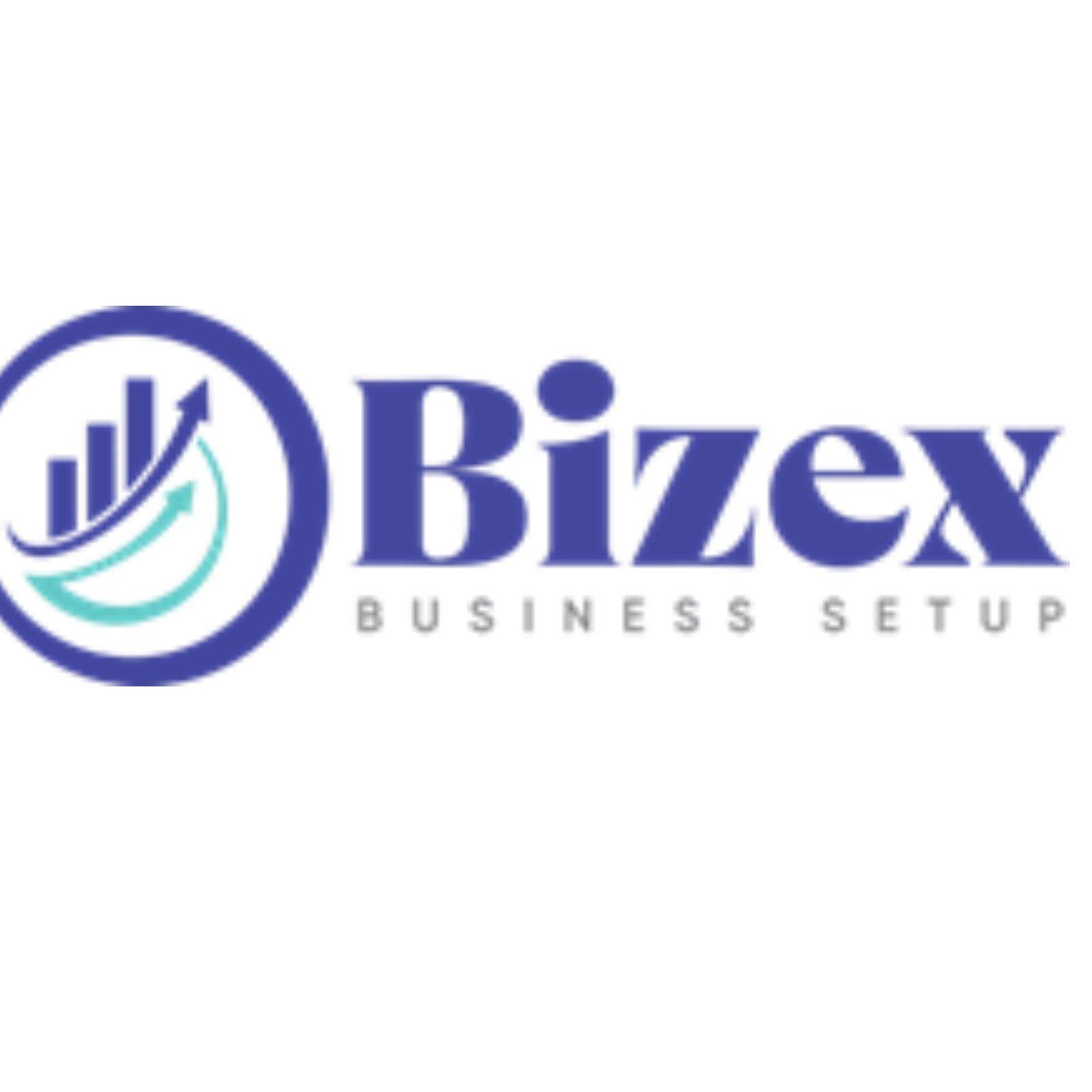 Bizex LLC