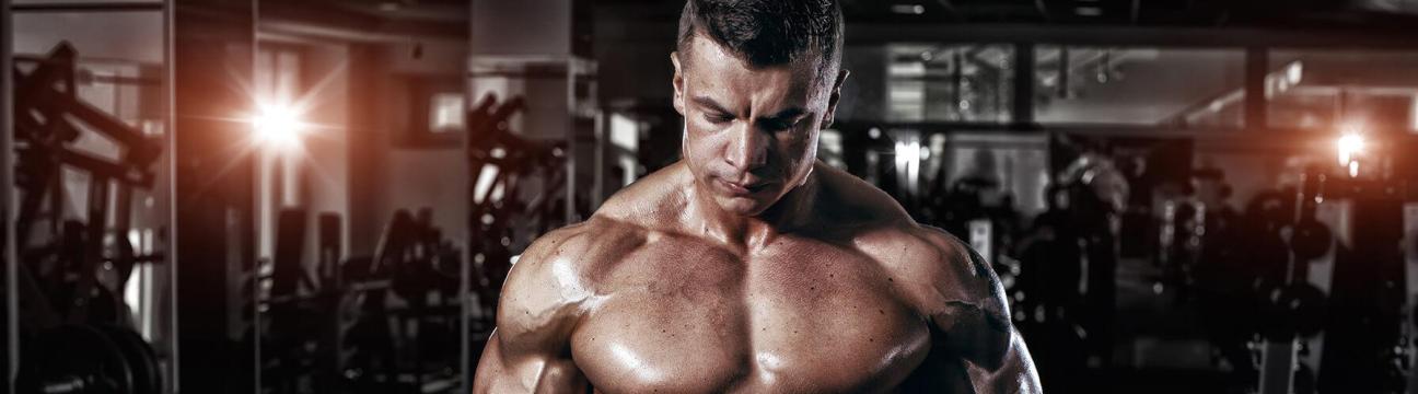 ASN LABS