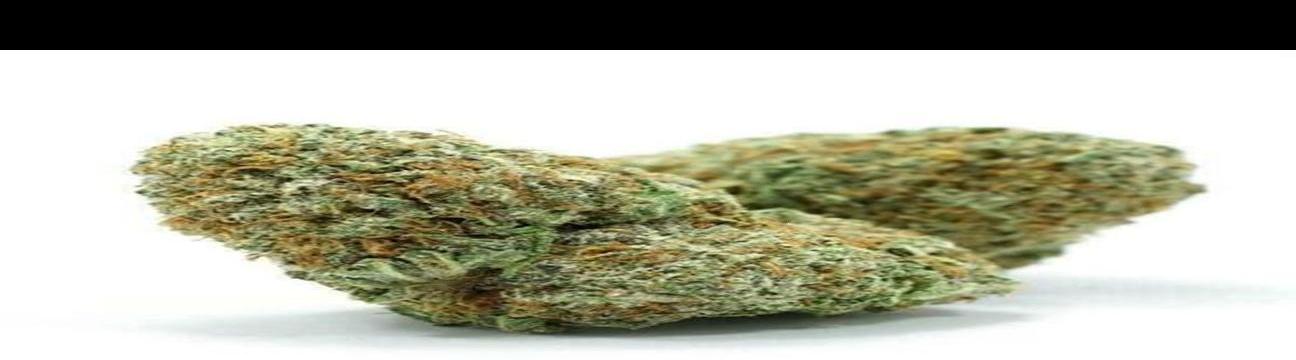 Green  Therapy