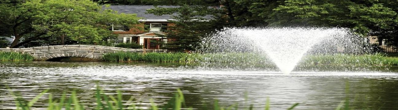 Water Landscapes
