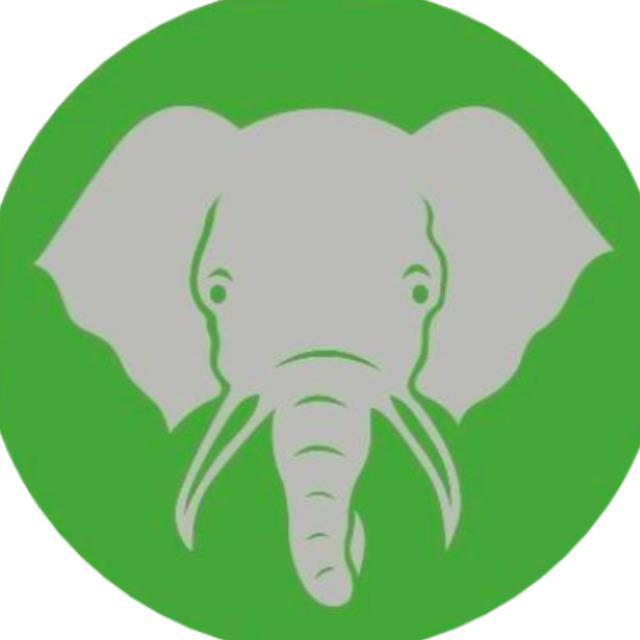 Elephant  Trunk