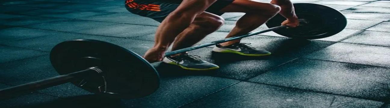 Gibbon  Nutrition