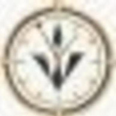 Clone Watch Shop