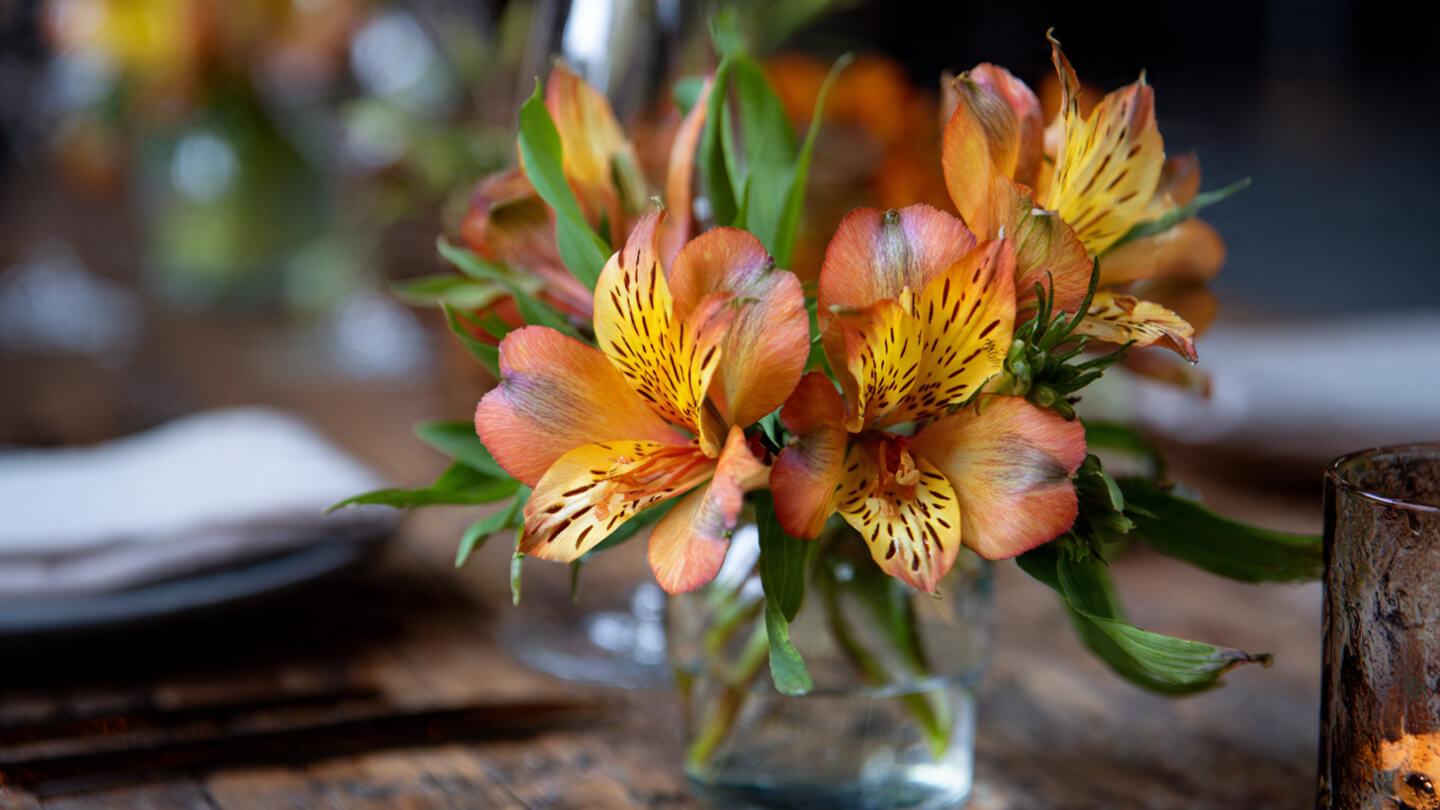 alstroemeria flower meaning