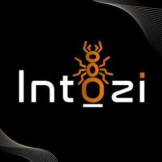 Intozi Tech Pvt Ltd