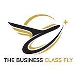 Thebusiness Fly