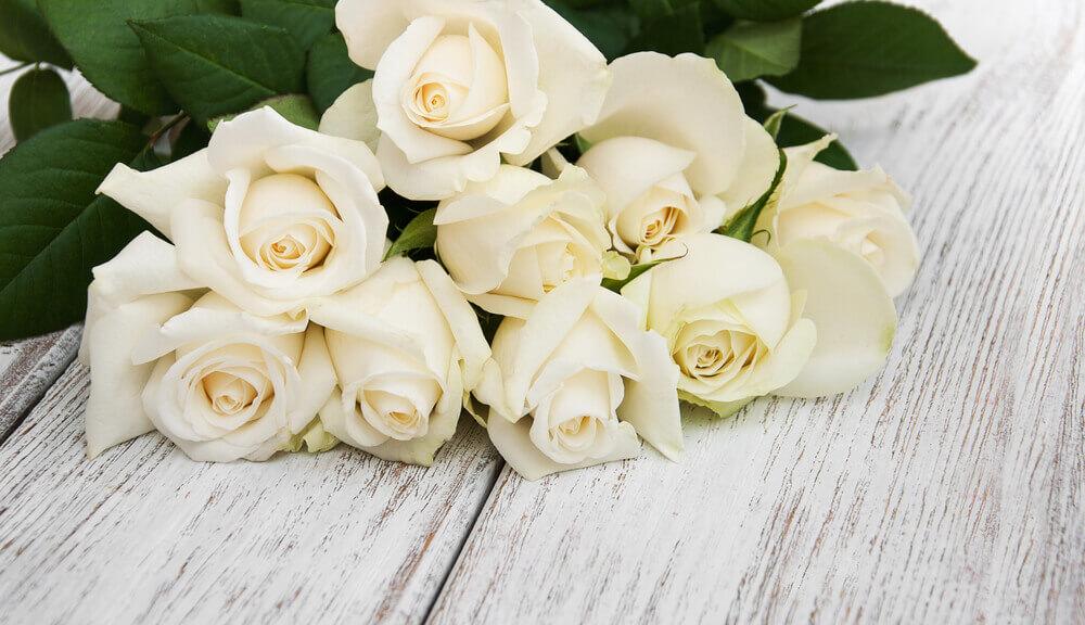 White rose meaning