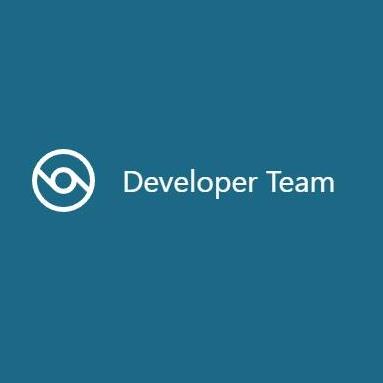 Developer  Team