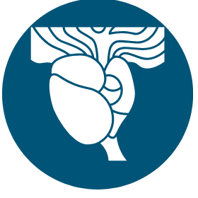Carefor Prostate