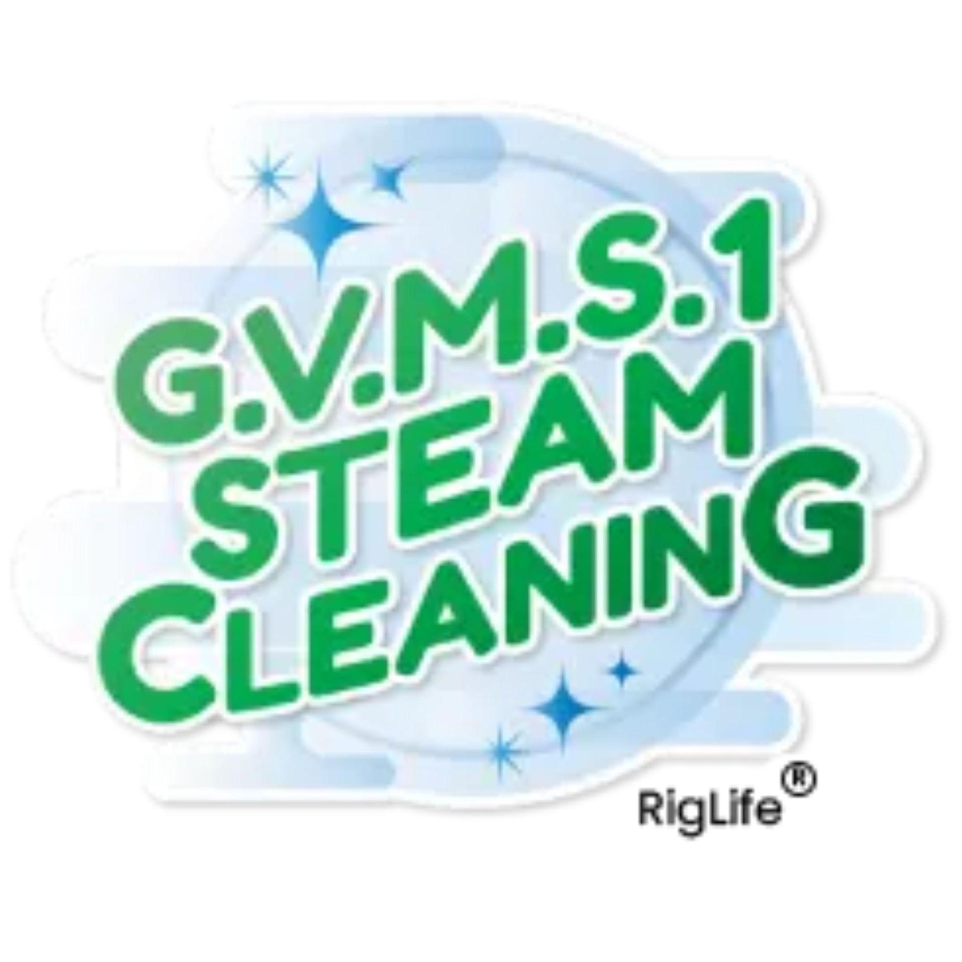 GVMS 1 Steam