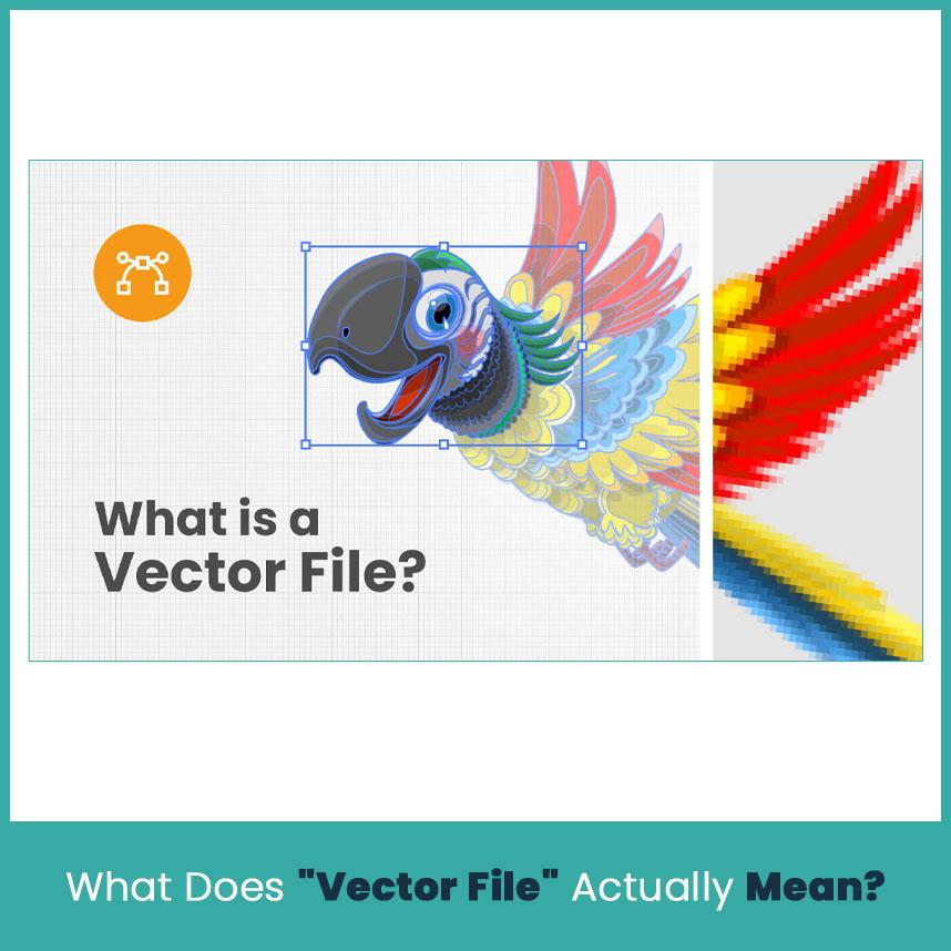 What Does "Vector File" Actually Mean?