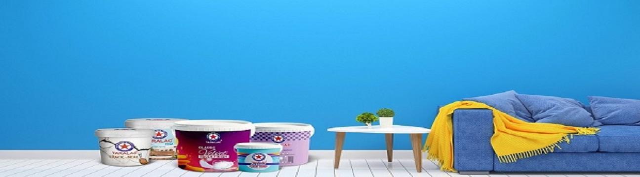 Tara Paints  Pvt Ltd