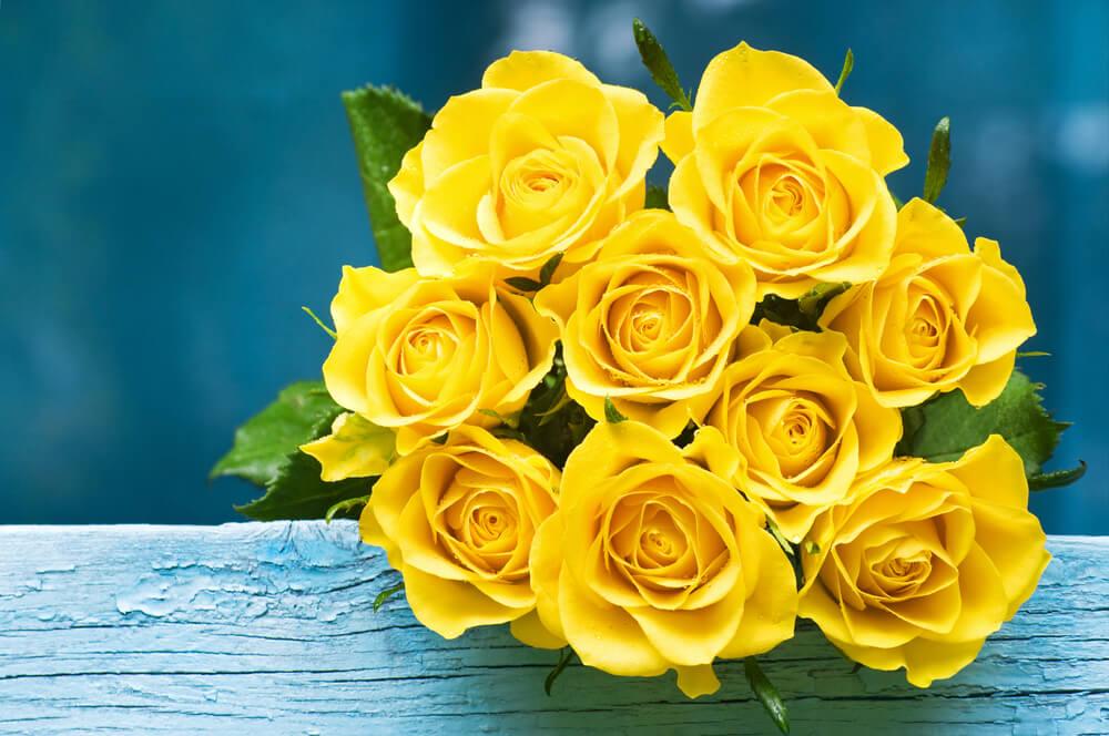 Yellow Rose Meaning