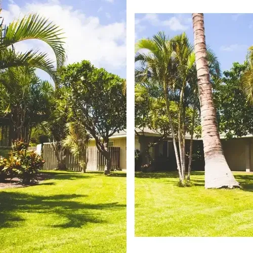 Aina Lanscaping