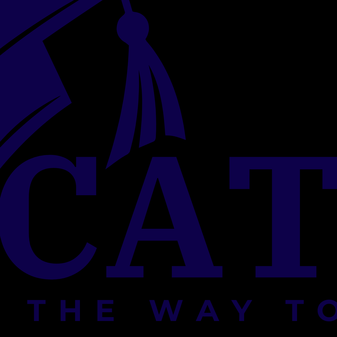Cat Mock