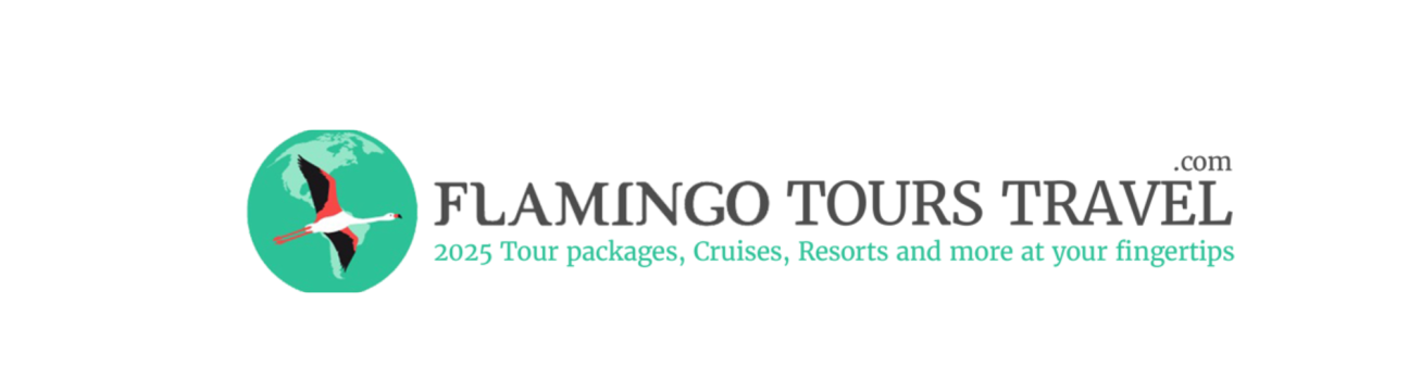 Flamingo   ToursTravel