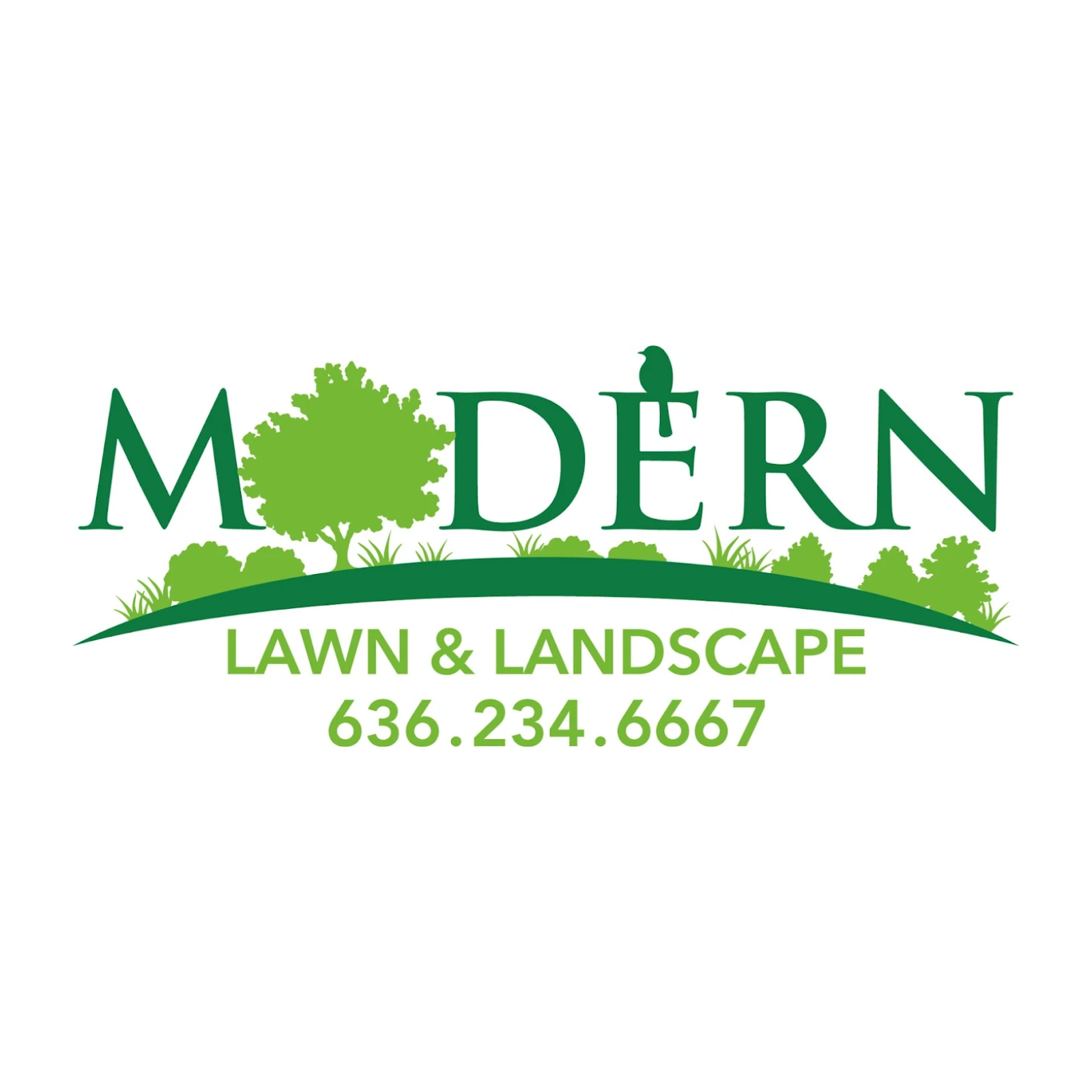 Modern  Lawn
