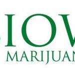 Iowa Marijuana