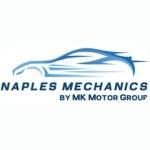 Naples Mechanics