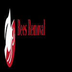 Bees Removal