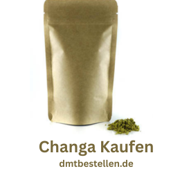 Changa Onlinekaufen