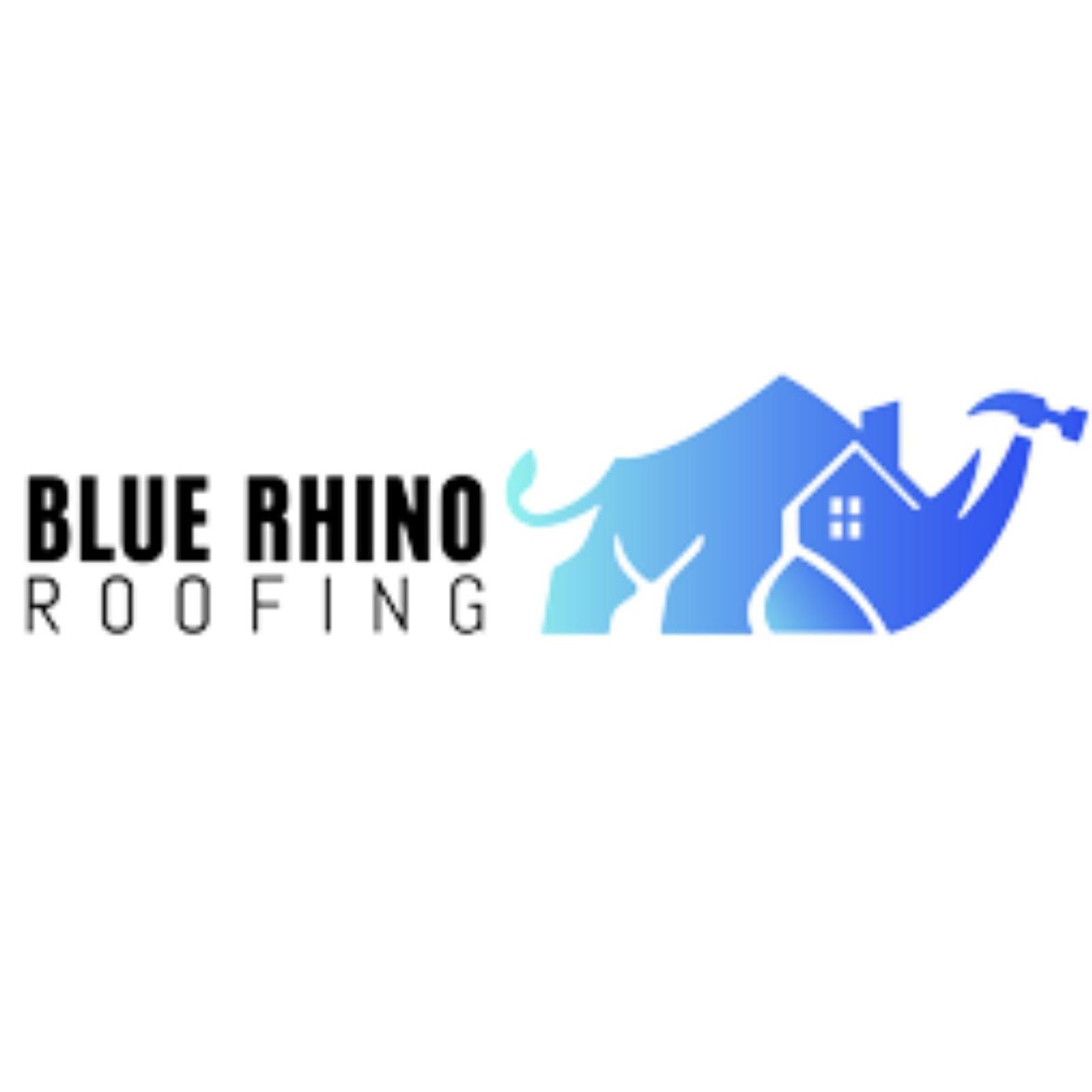 Blue Roofing