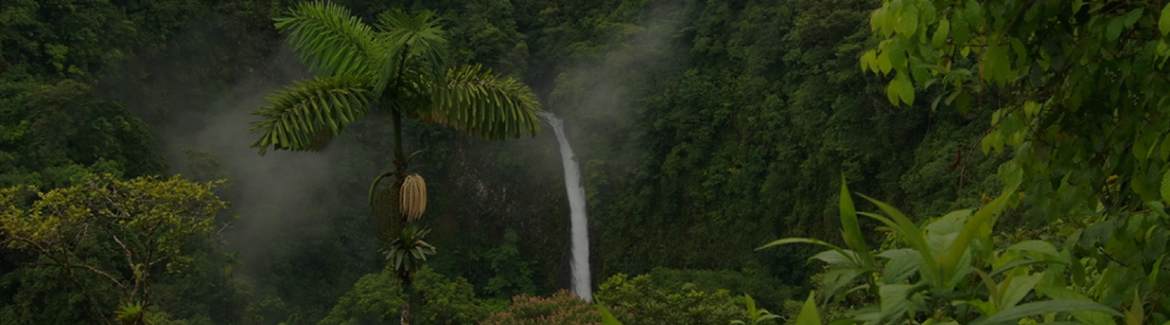 La  Fortuna