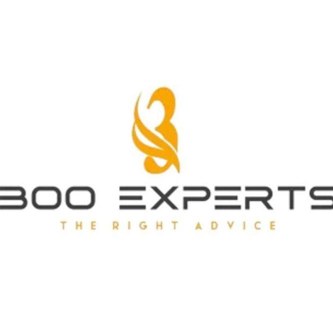 300 Experts