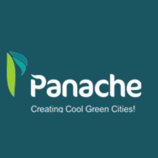 Panache Green