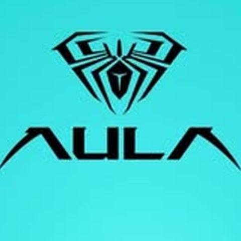 Aula India
