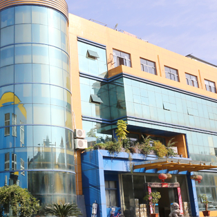 Fengming Mold