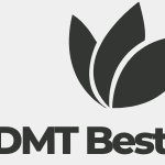 Dmt Bestellen
