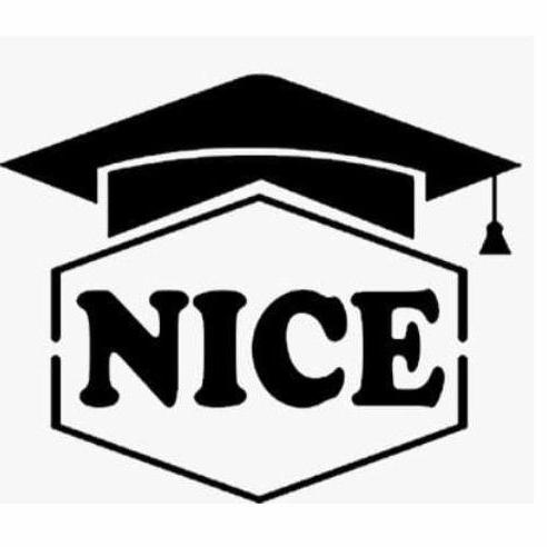 Nice It Services