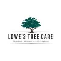 Lowes Tree  Care 