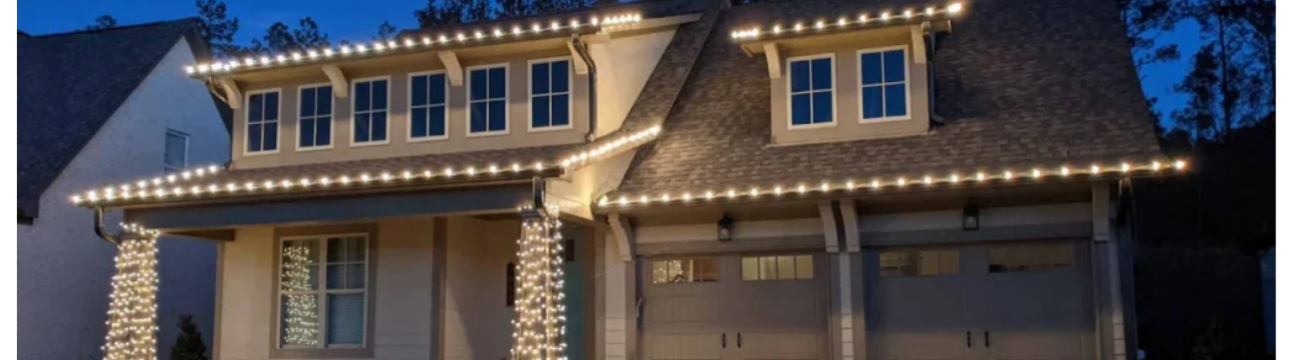 We Install Govee Lights