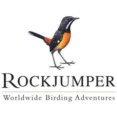 Rockjumper Birding