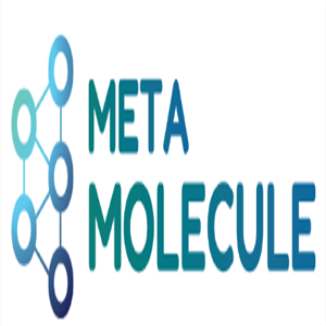 Meta  Molecule