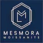 Mesmora Team