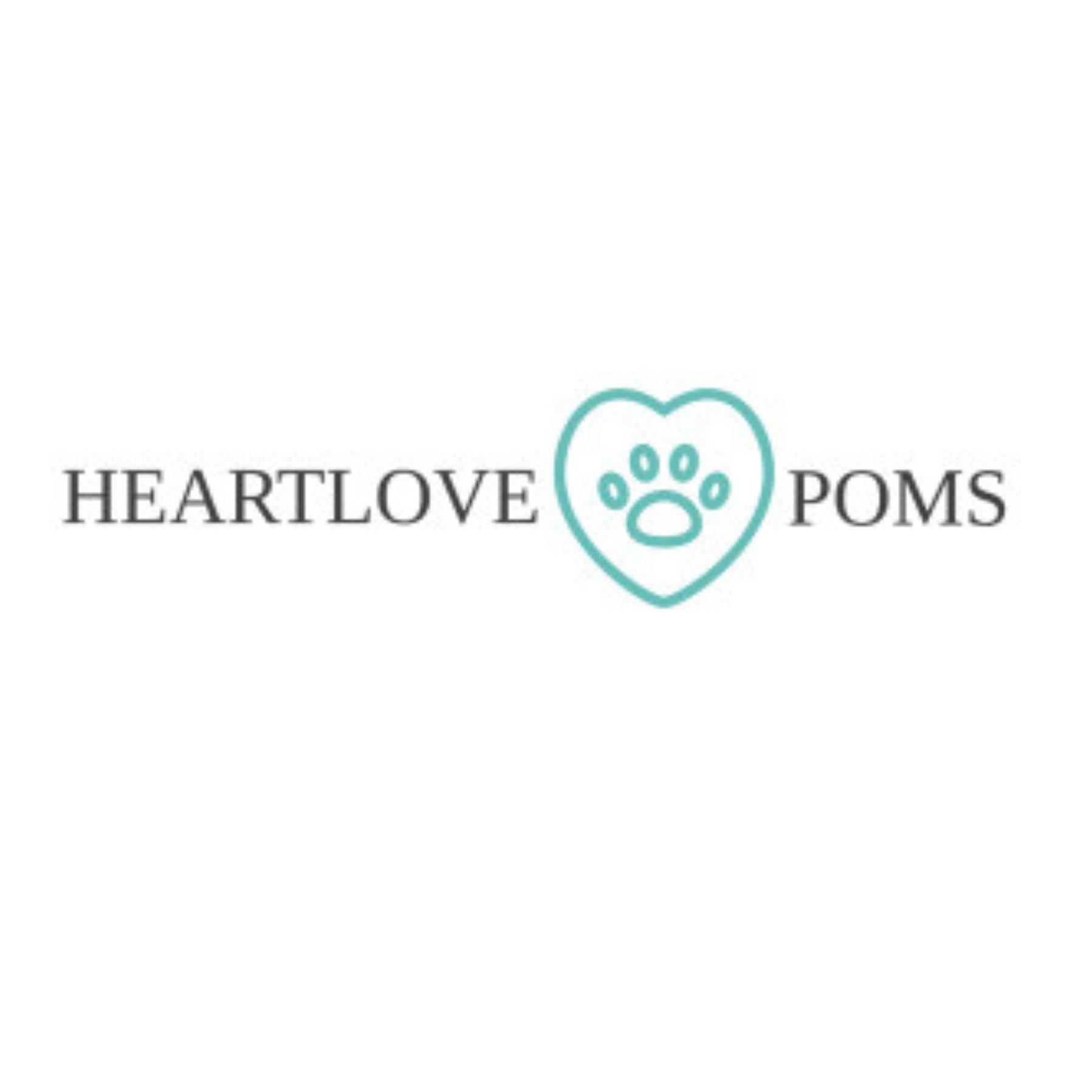 Heartlove Poms