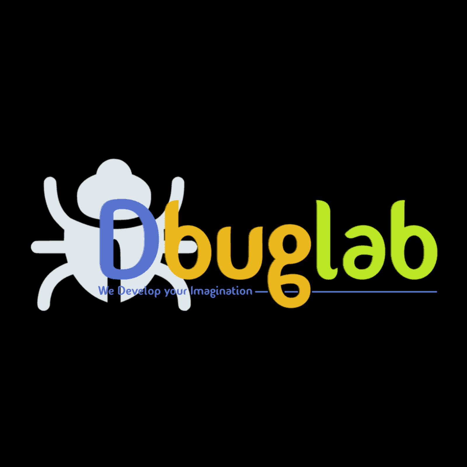 Dbuglab  Pvt Ltd