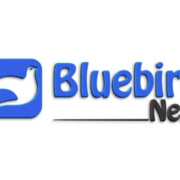 Bluebird   Next