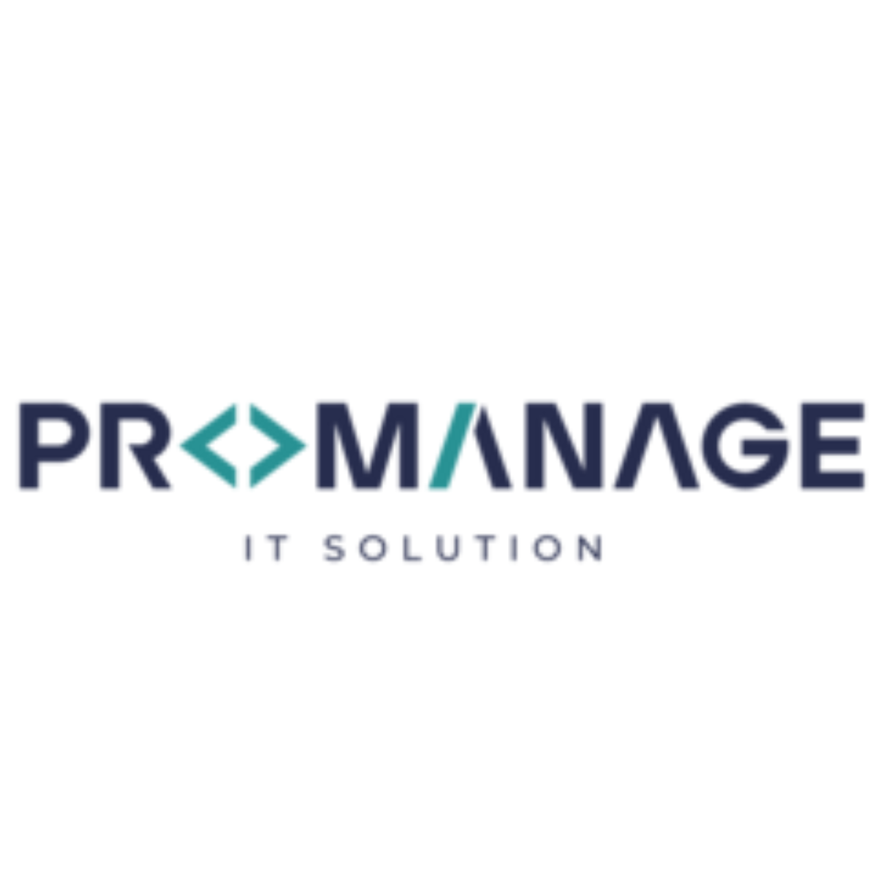 ProManage IT Solution