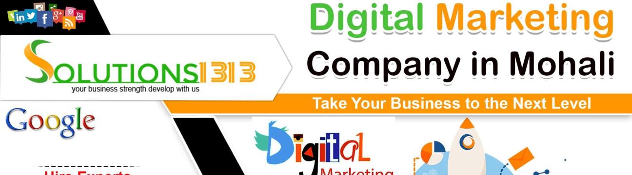Solutions 1313