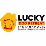 Lucky Dog  Indianapolis